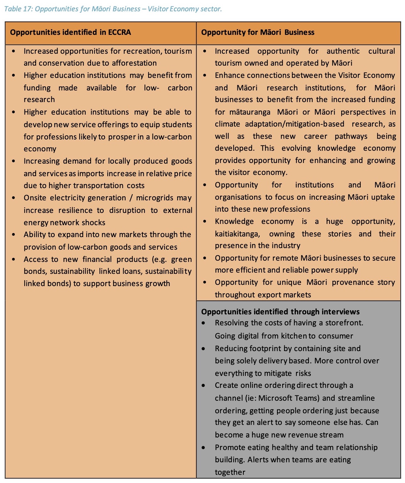 table 17: Māori business opportunities for the visitor economy sector