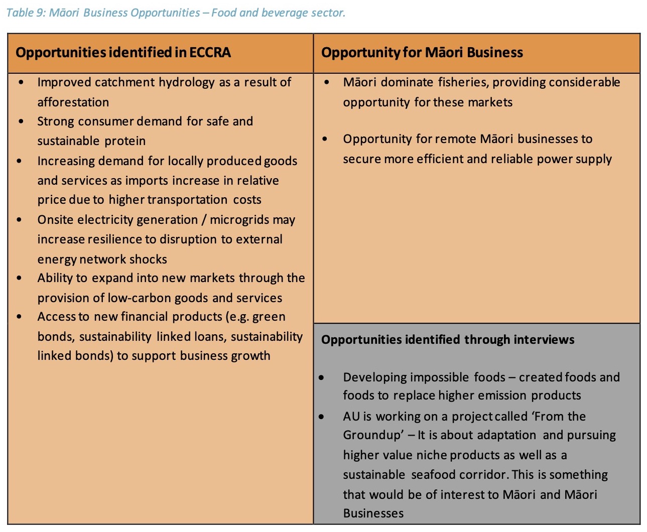 table 9: Māori business opportunities for the food and bevearge sector