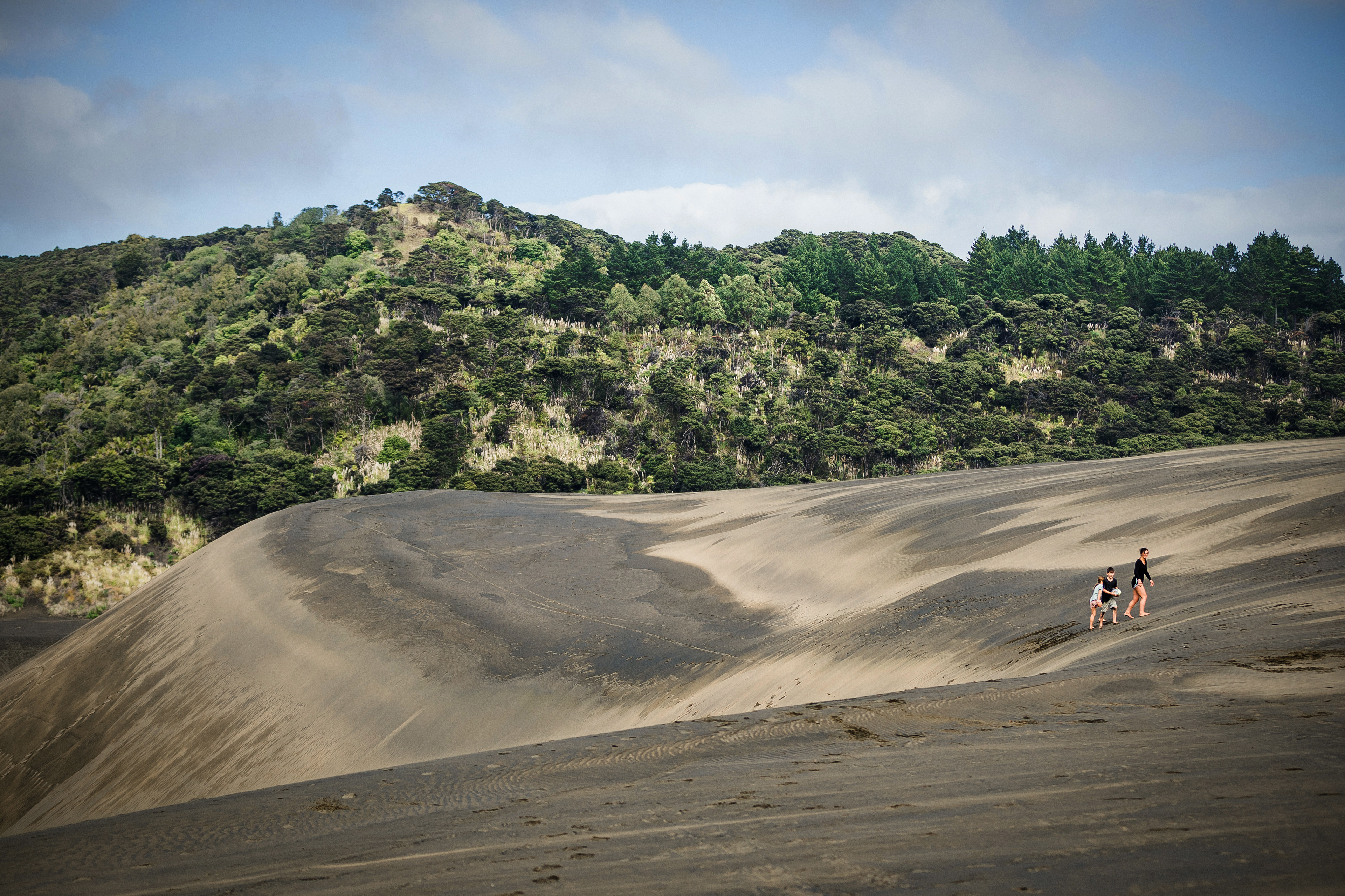 preserving natural environments is vital to tackling climate change