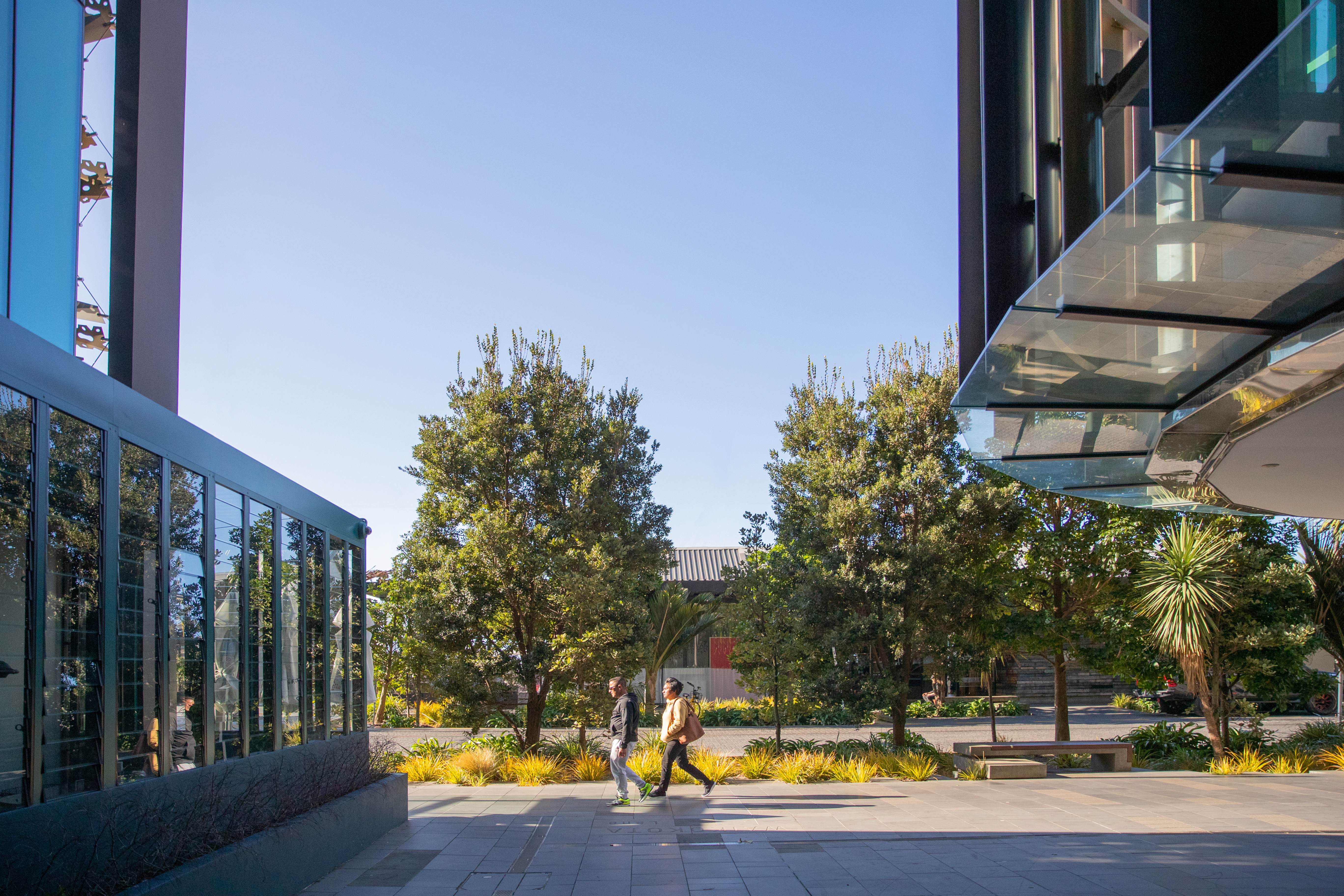 People walking next to trees and glass buildings at Wynyard Quarter in Auckland