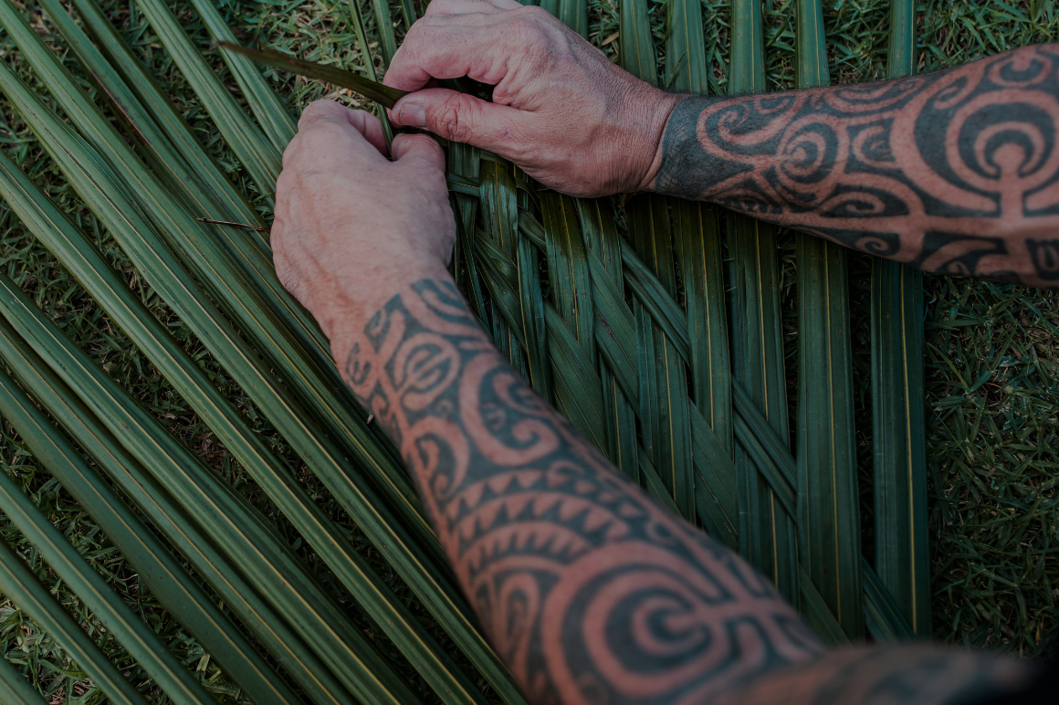 Māori Climate Innovators Business Growth Programme