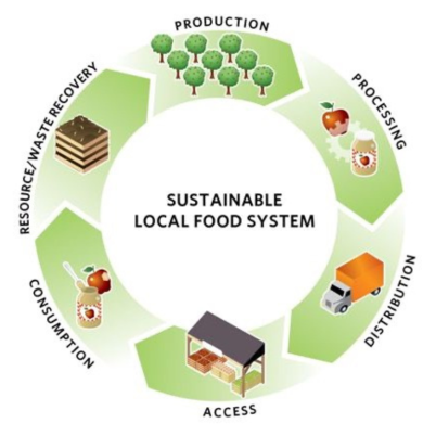 Sustainable local food system model graphic