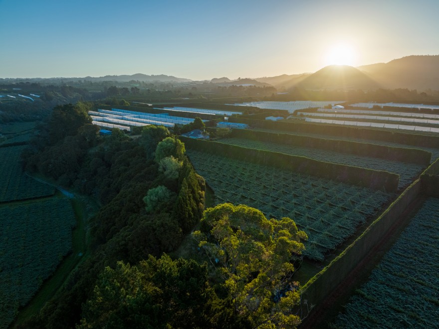 smarter horticulture practices can greatly reduce climate impacts
