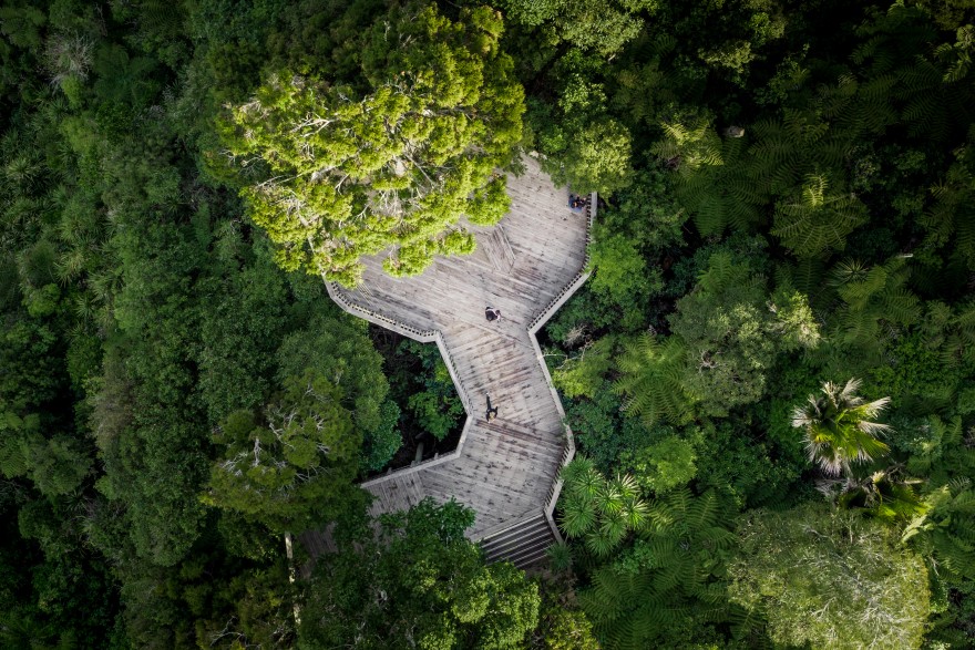 minimising environmental impact can be as simple as building around nature rather than removing it