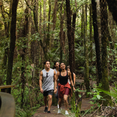 Group of rangatahi walking in the bush