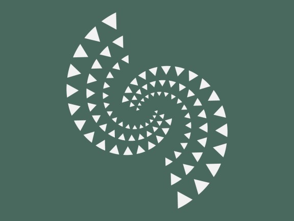 Climate Connect Aotearoa green and white tohu