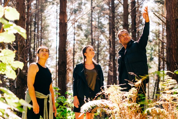 Person pointing in forest